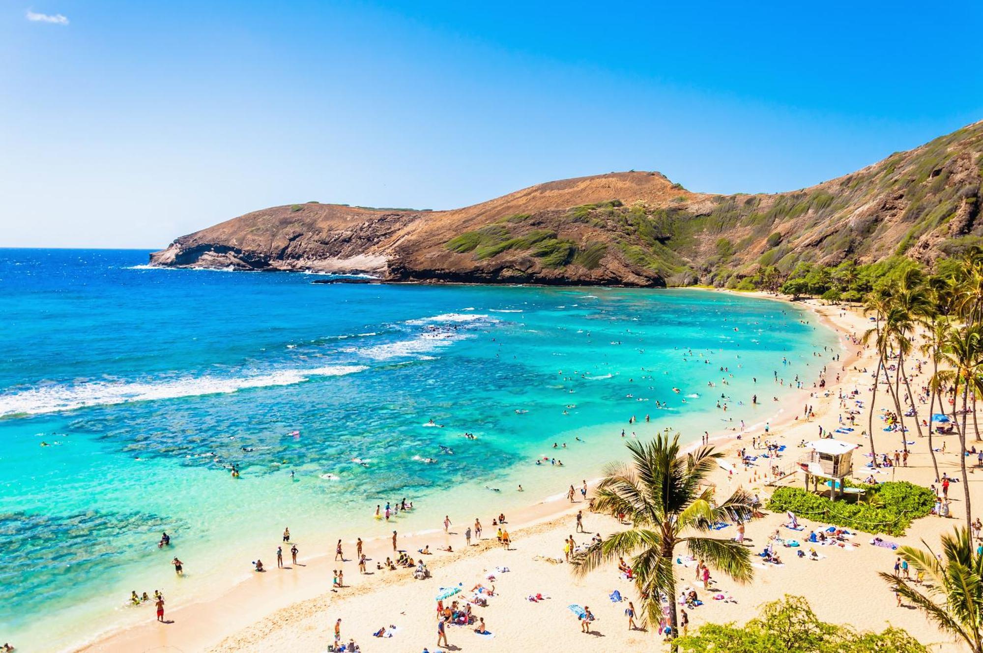 Waikiki Banyan: Diamond Head And Ocean View Condo! Apartamento *